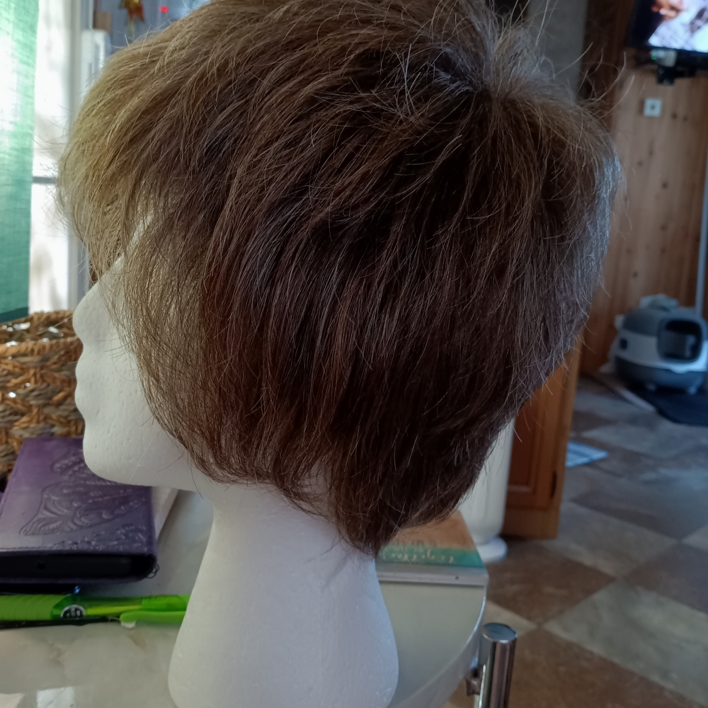 Paula Young Gilda In Ash Brown with 25 percent Grey. NWOT - Picture 4 of 6
